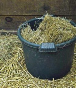 Kentucky Performance Products: Soaking Hay