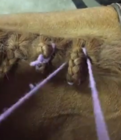 Draper Therapies Video: DIY Braiding Tutorial