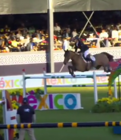 EcoVet Performance of the Week: Scott Brash