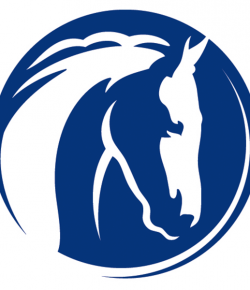 Standing Ovation by Ovation Riding