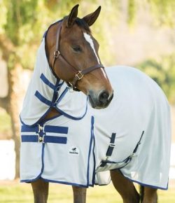 SmartPak Monday Morning Feed