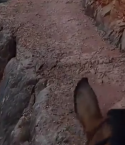 World Equestrian Brands HelmCam: Grand Canyon