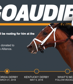 Standing Ovation by Ovation Riding