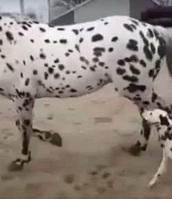 KER Friday Video: Matchy-Matchy