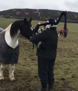 Total Saddle Fit Sunday Video