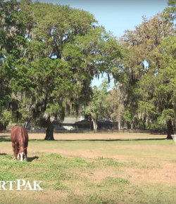 SmartPak Monday Morning Feed: Ask the Vet, April Edition