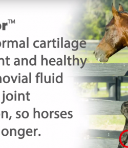 Kentucky Performance Products FAQ