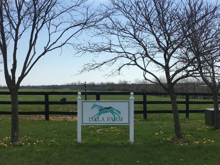 My Old Kentucky Weekend, Part II All Farms Big & Small HORSE NATION