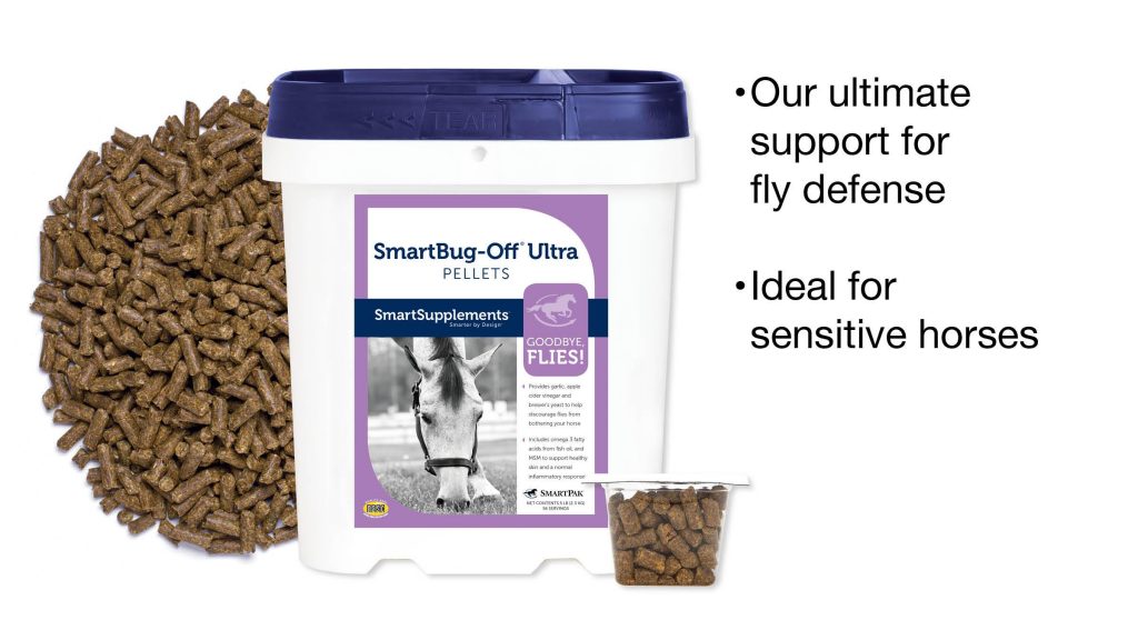 5 Things Your Horse Wants You to Buy With Your Tax Refund HORSE NATION