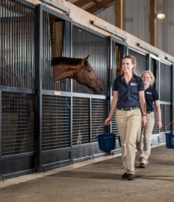 Kentucky Equine Research Brings Unique Expertise to WEG Tryon 2018