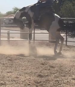 ‘Oh Crap’ Monday