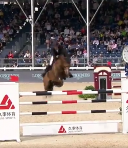 Ecovet Performance of the Week