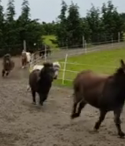 KER Friday Video: Round & Round They Go