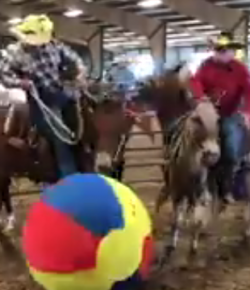 Lighthoof Video: Mule Soccer