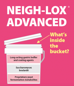 Kentucky Performance Products: What’s Inside the Bucket?