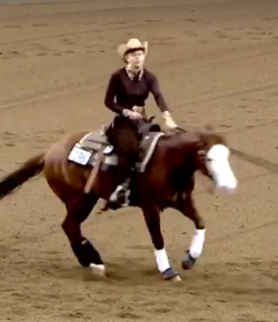 EcoVet Performance of the Week: Morgan Knerr