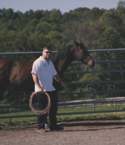 Standing Ovation by Ovation Riding: SquirrelWood Equine Sanctuary
