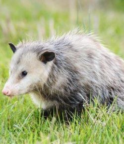 Kentucky Performance Products: EPM, Part I