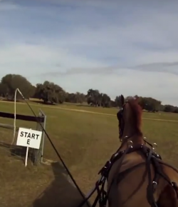 World Equestrian Brands Driving Helmet Cam
