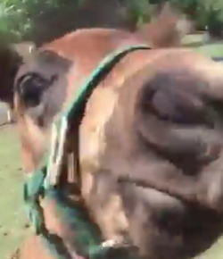 Daily Dose of Adorable: Baby Loves Scratches