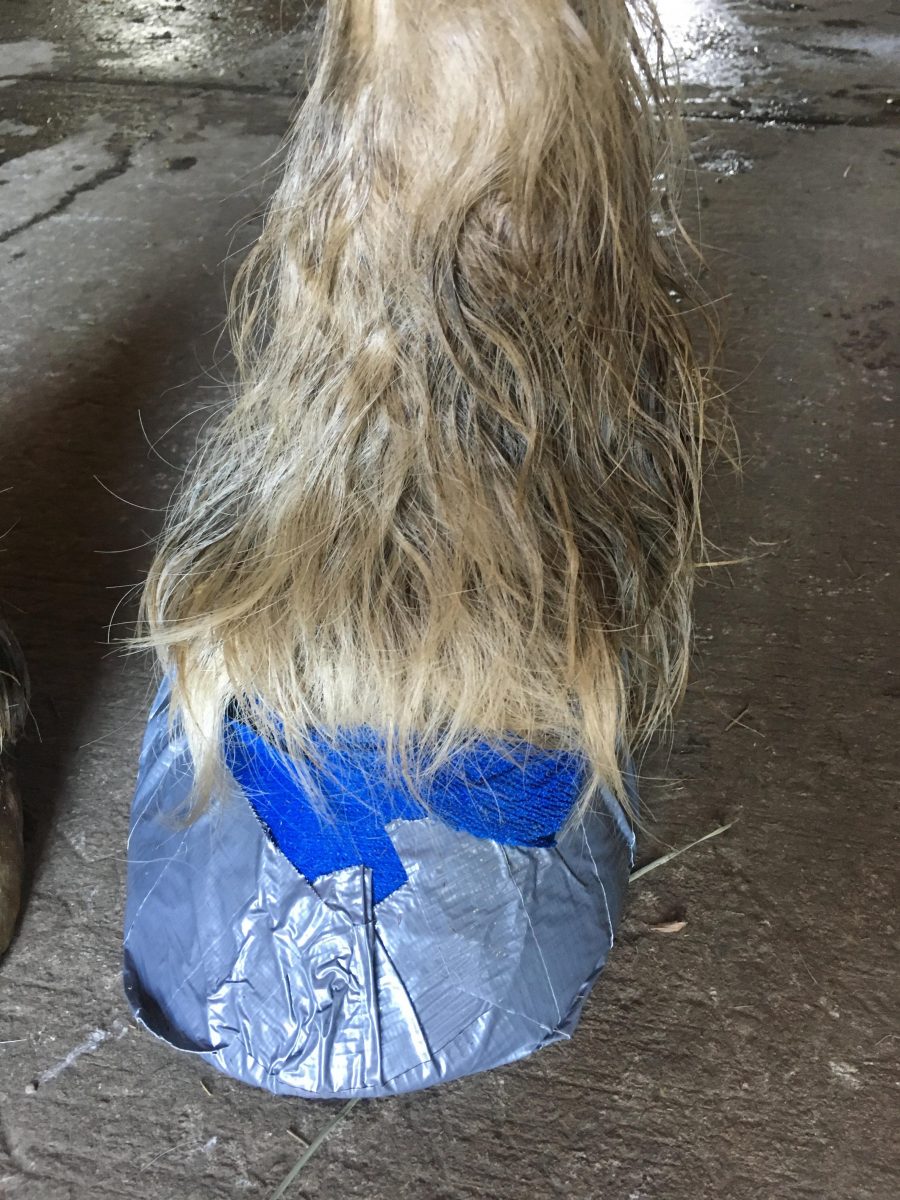 4 Steps To Create the Perfect Duct Tape Bootie HORSE NATION