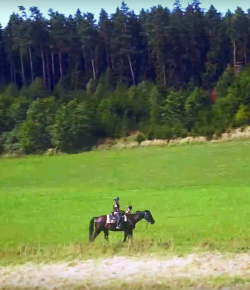 World Equestrian Brands Drone Cam: Horse Camping in Southern Moravia