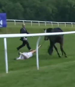 EcoVet Performance of the Week: Hayley Moore