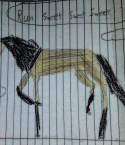 International Lesson Horse Day Essay Winner: Jazzy