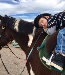 International Lesson Horse Essay Winner: Chili