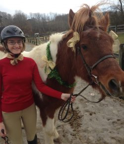 International Lesson Horse Day Essay Winner: Chessie