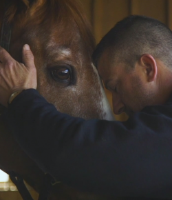 Standing Ovation by Ovation Riding: ‘When Horses Heal’ Spotlights at Man O’War Project