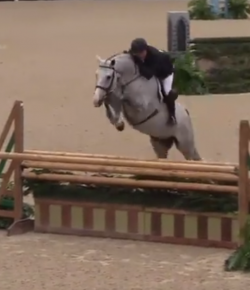 EcoVet Performance of the Week