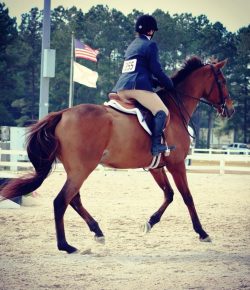 Photo Challenge: Memorial Day