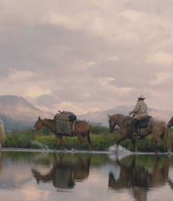 Standing Ovation by Ovation Riding: ‘When Horses Heal’ Spotlights Heroes & Horses