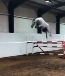 Total Saddle Fit Sunday Video: You Say Jump