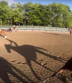 World Equestrian Brands Helmet Cam: AP Belmont