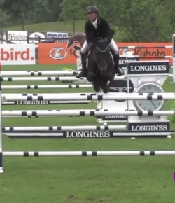 EcoVet Performance of the Week