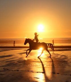 Photo Challenge: 12 Epic Backdrops