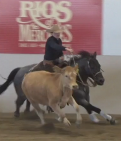 EcoVet Performance of the Week: SDP Blu Rey