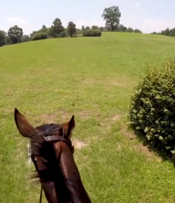 World Equestrian Brands Helmet Cam: OTTB XC