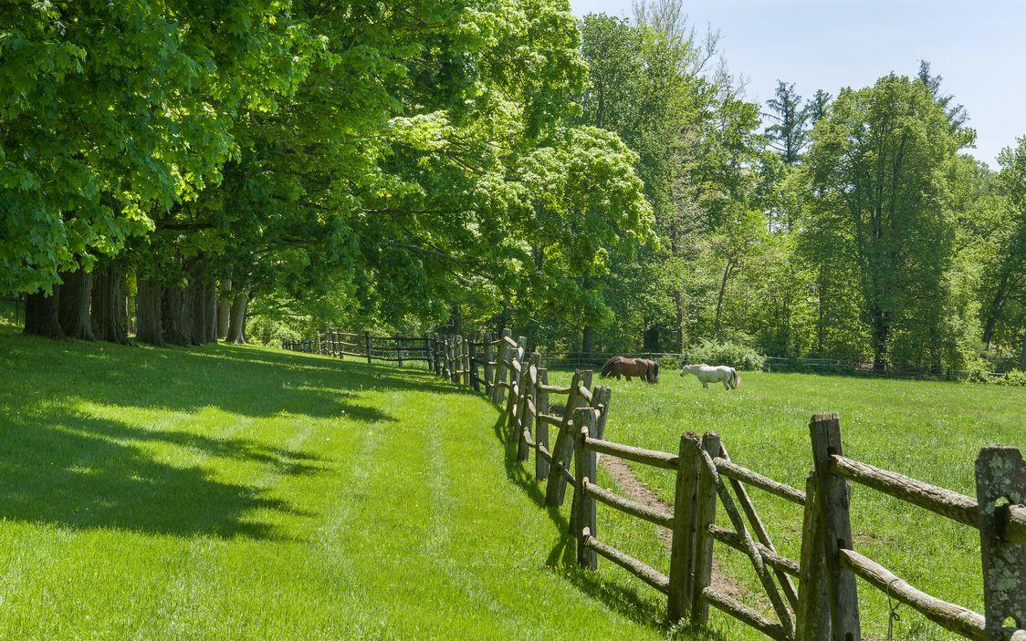 Fantasy Farm Thursday: Upstate NY Rider’s Paradise, Complete With ...