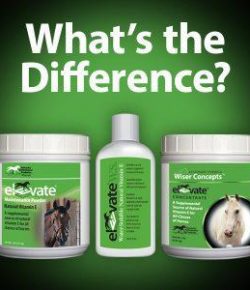 Kentucky Performance Products: Elevate W.S. vs Elevate Powders