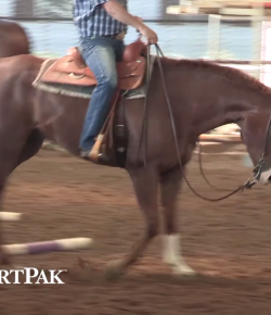 SmartPak Monday Morning Feed: Ask the Vet, July Edition