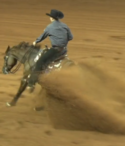 EcoVet Performance of the Week: Cade McCutcheon