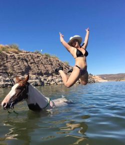 Photo Challenge: 4 Horses Keeping It Cool