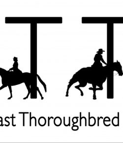 Standing Ovation by Ovation Riding