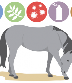 Kentucky Performance Products Info Graphic: Got Allergies?