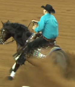 EcoVet Performance of the Week: NRHA Derby