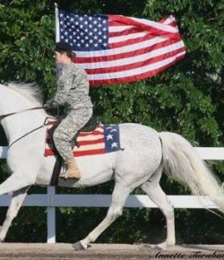 Photo Challenge: 3 Parade-Ready Horses