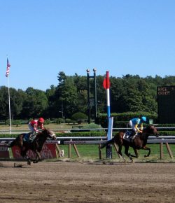 Standing Ovation by Ovation Riding: NYTHA’s Take the Lead